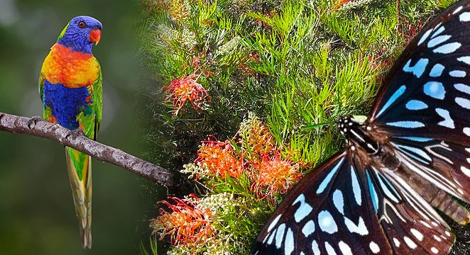Gardens & Wildlife – Giving Back to Nature