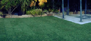 Turf / Synthetic Grass