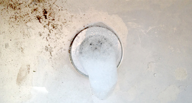 Using Greywater in the Garden